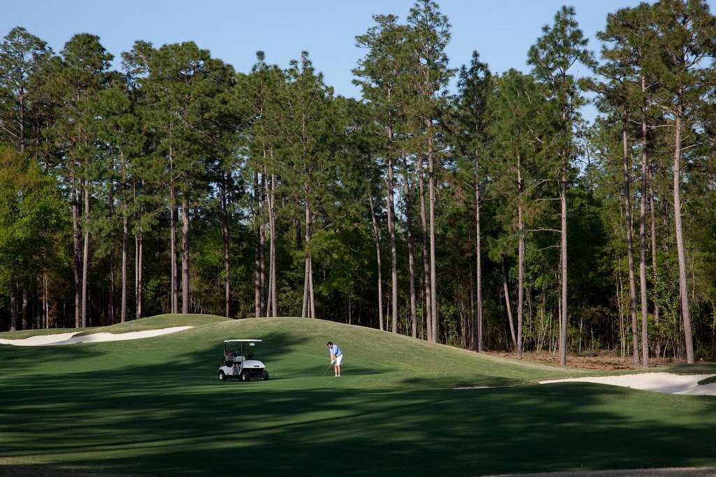 Course Management: Tee Box Strategy